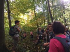 2017-10-22-PHOTO-00000196