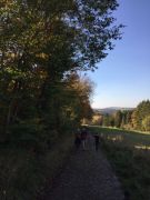 2017-10-22-PHOTO-00000209